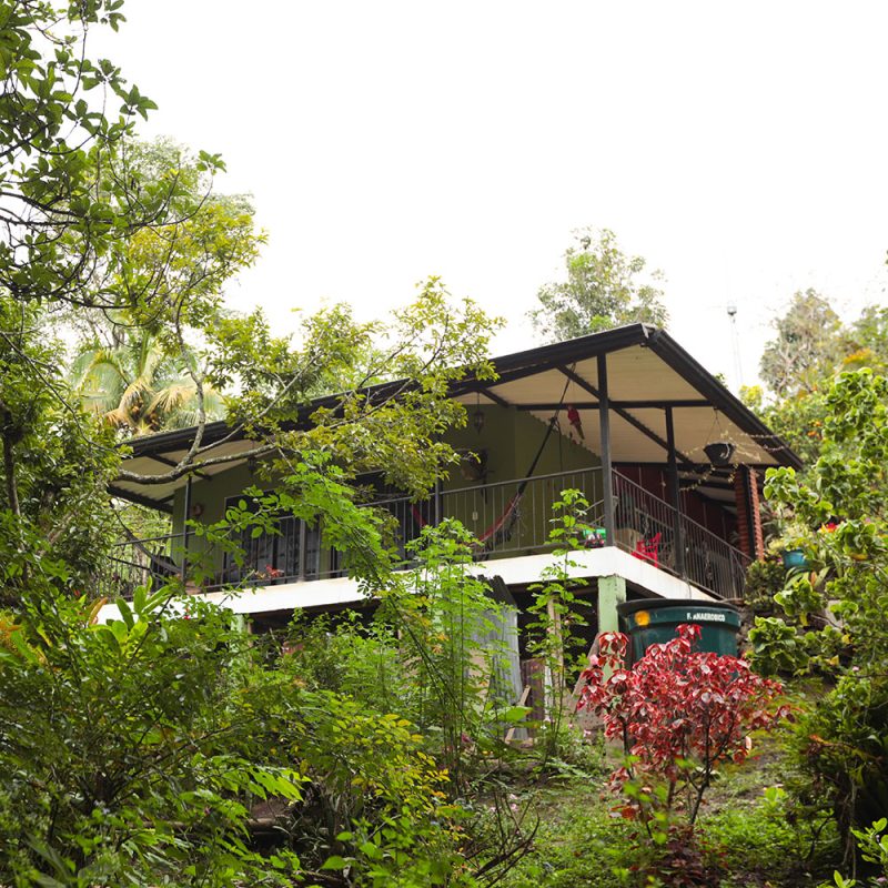 Finca_7